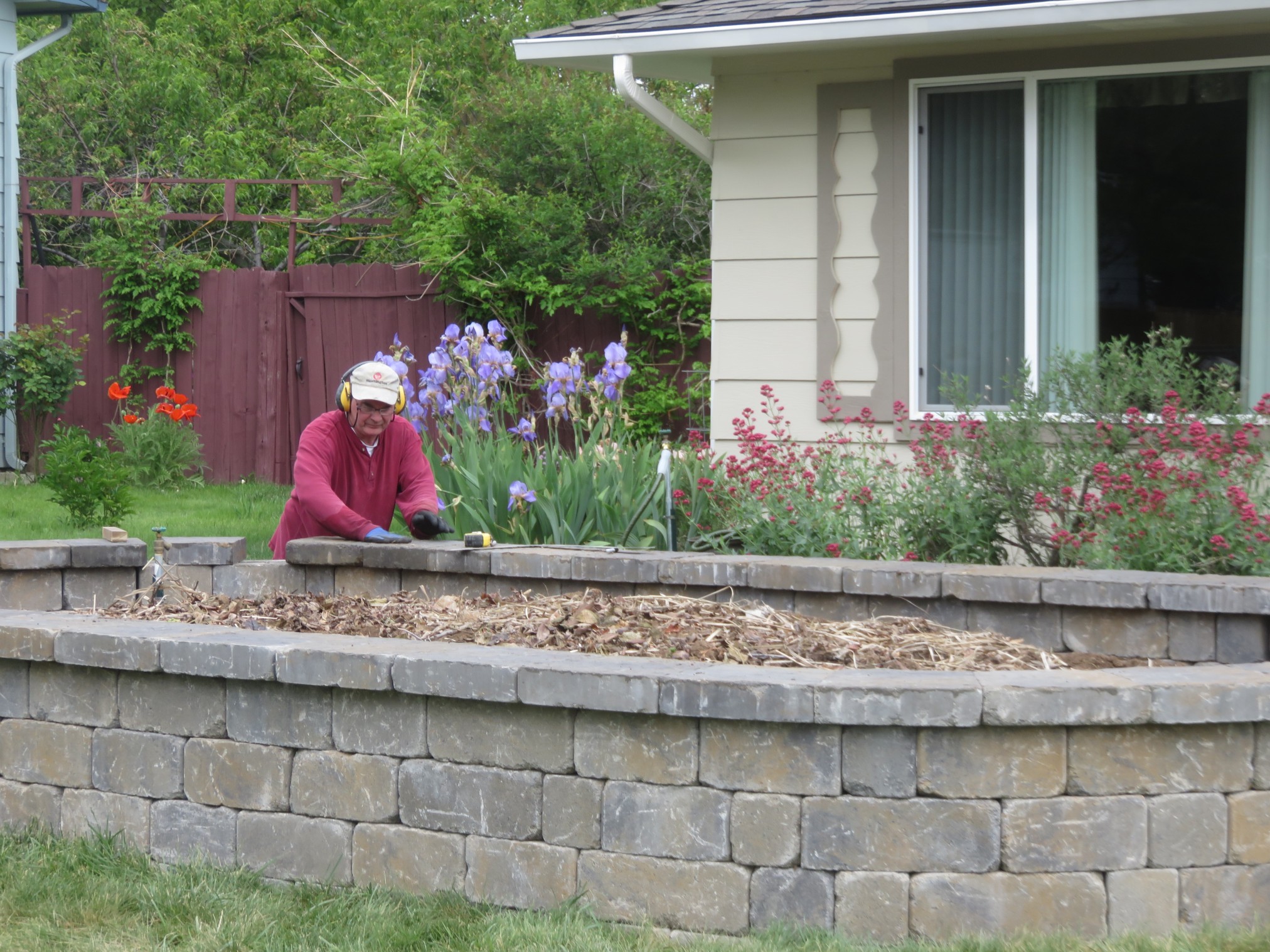 RaisedBed-038.jpg