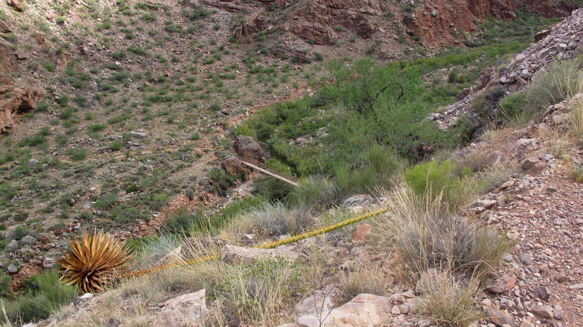 2015GrandCanyonSouthRim-0580.jpg