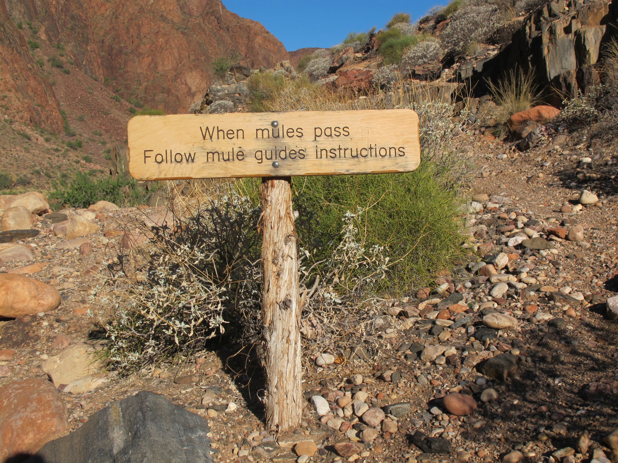 2015GrandCanyonSouthRim-0910.jpg