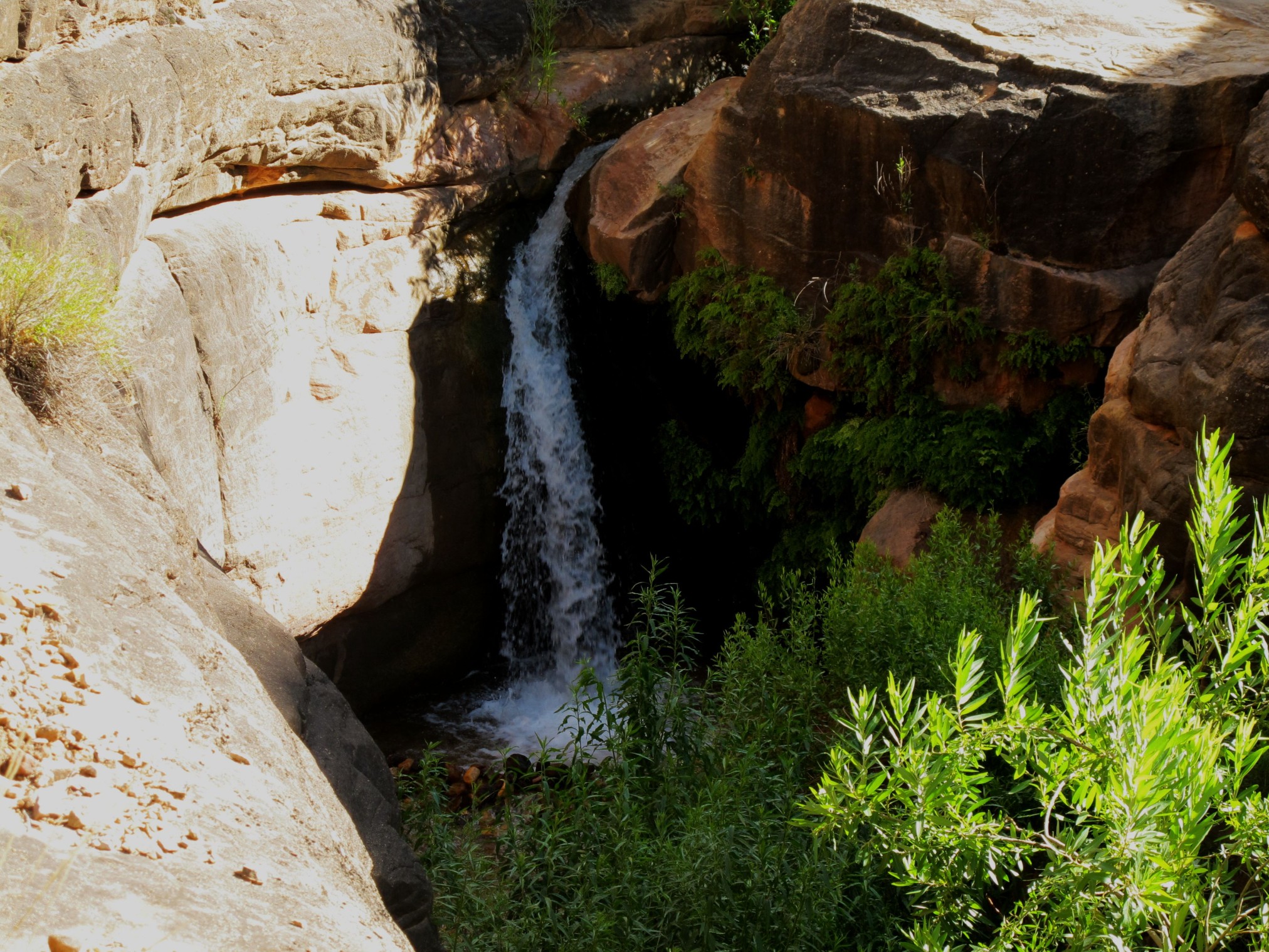 2015GrandCanyonSouthRim-1120.jpg