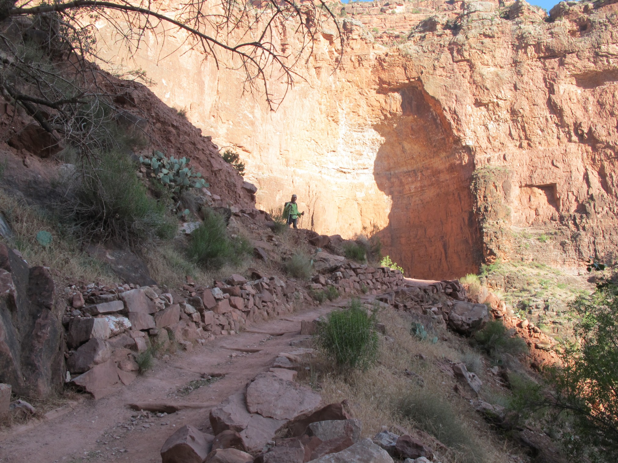 2015GrandCanyonSouthRim-1250.jpg