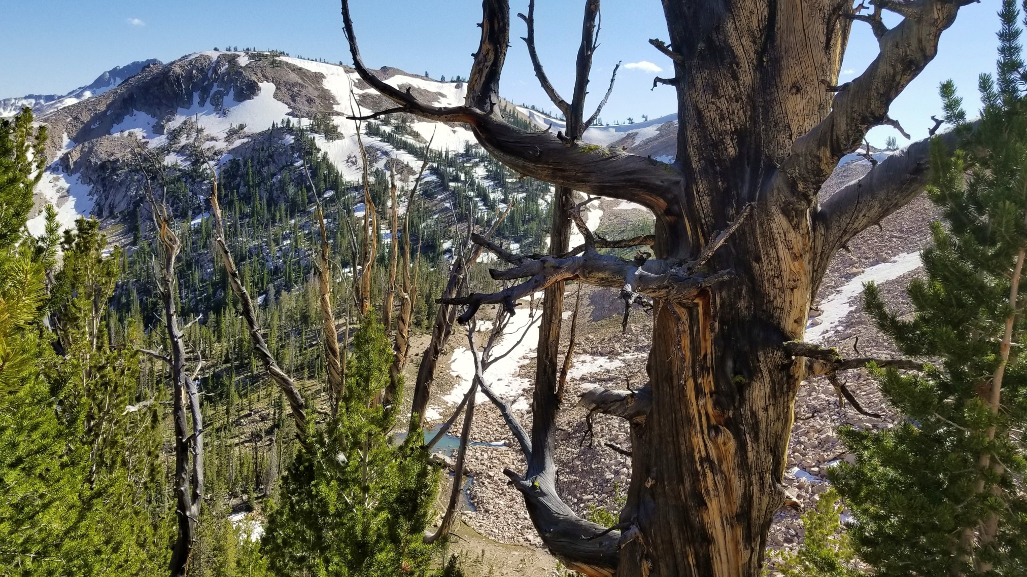 2018SwtthTrip-2570.jpg