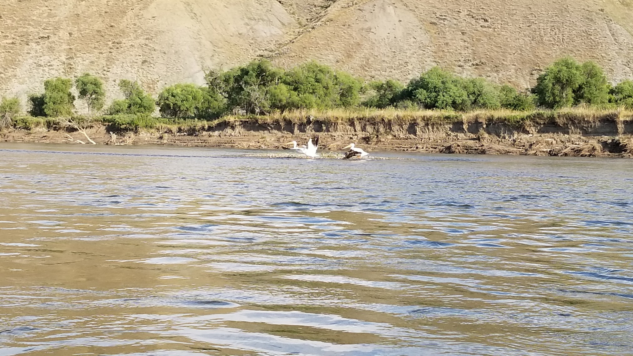 2018MisrRvrTrip-3860.jpg