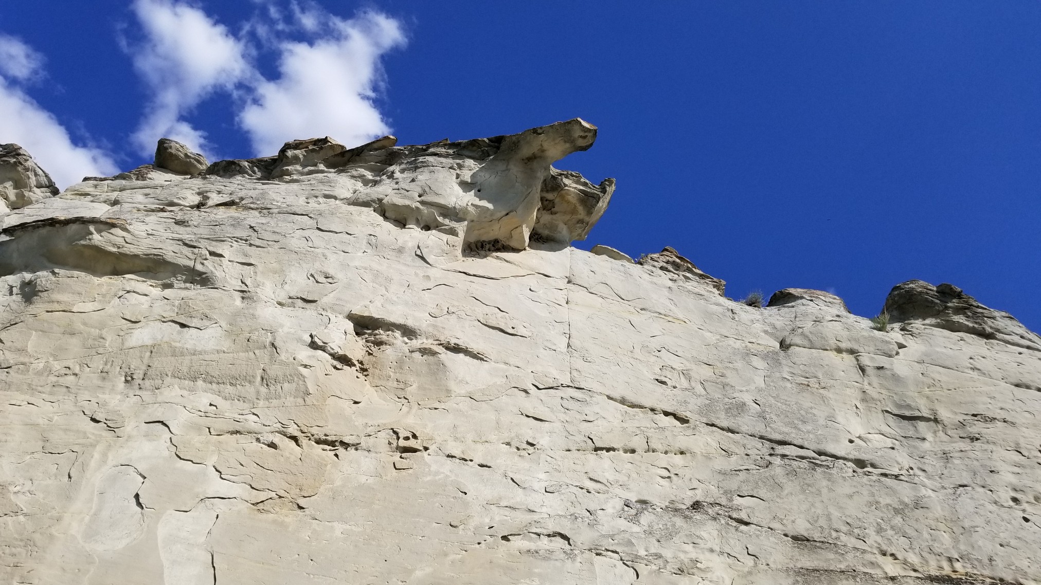 2018MisrRvrTrip-4070.jpg