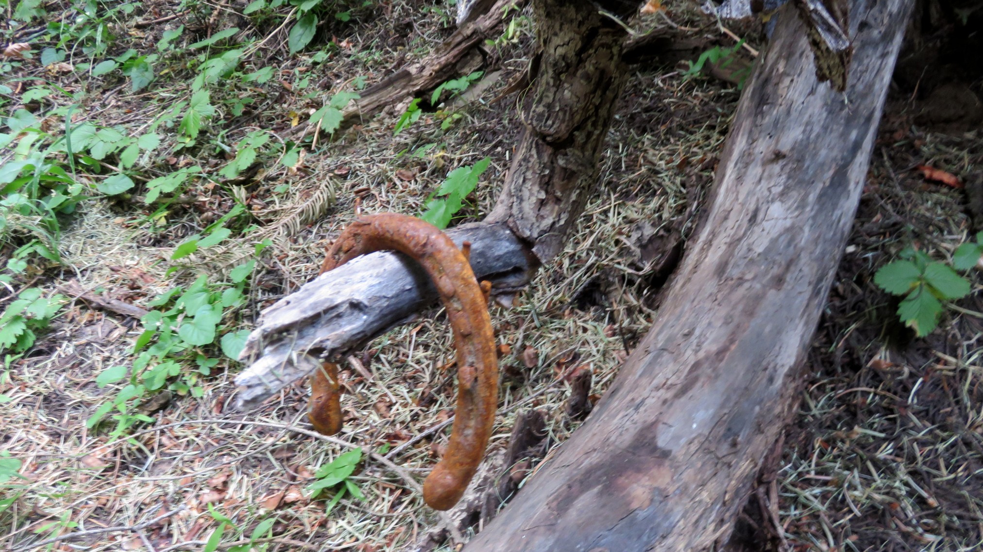 2019HiddenLake-10.jpg