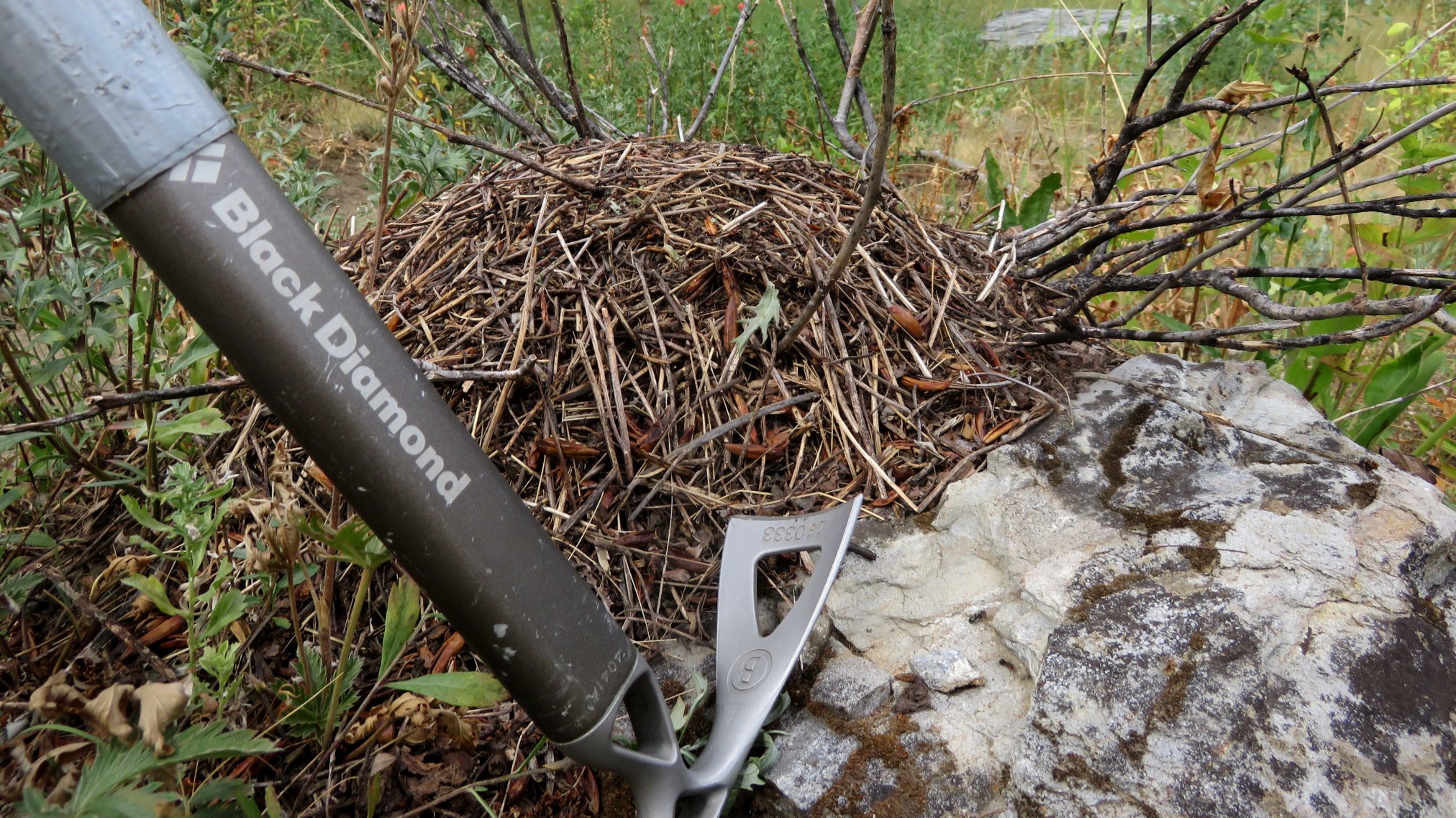 2019HiddenLake-12.jpg