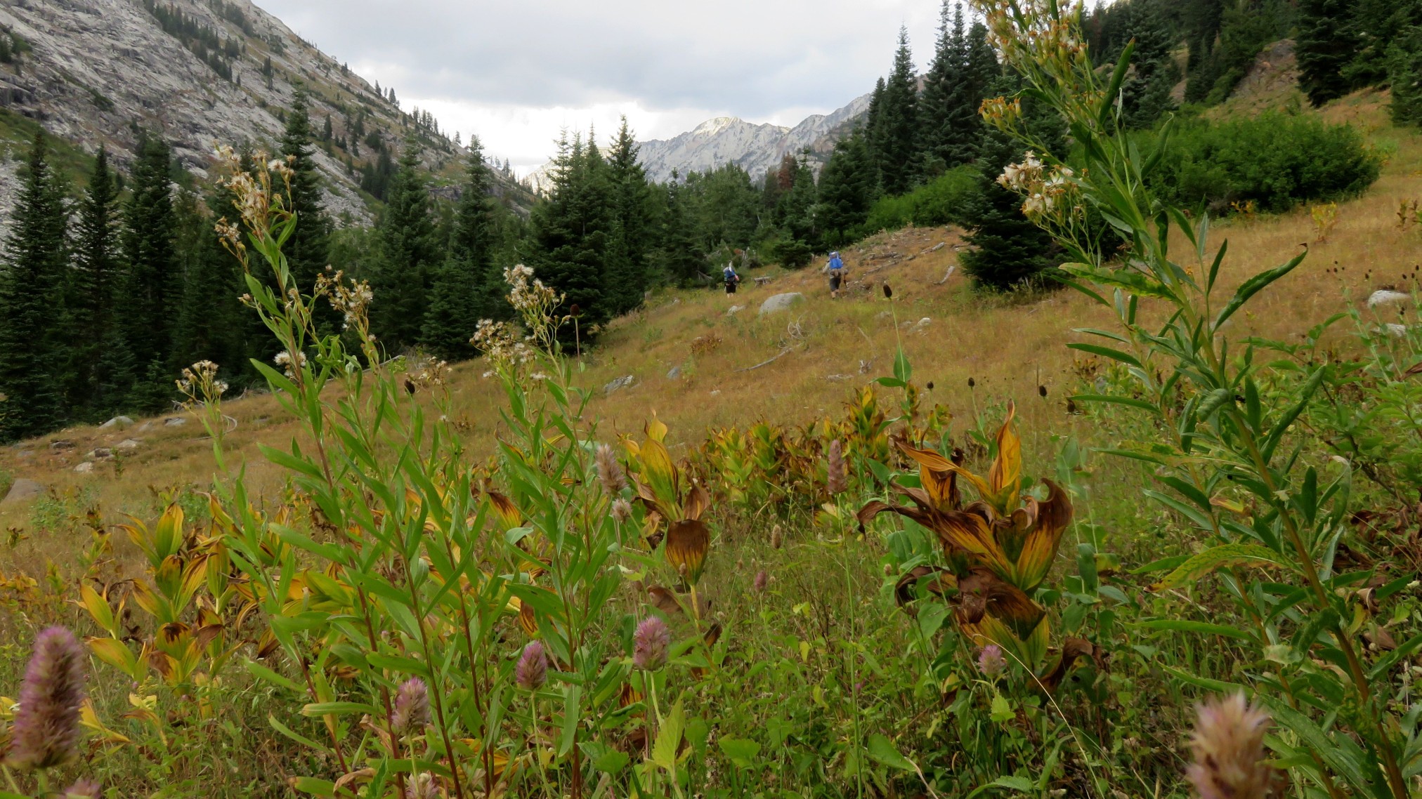 2019HiddenLake-17.jpg