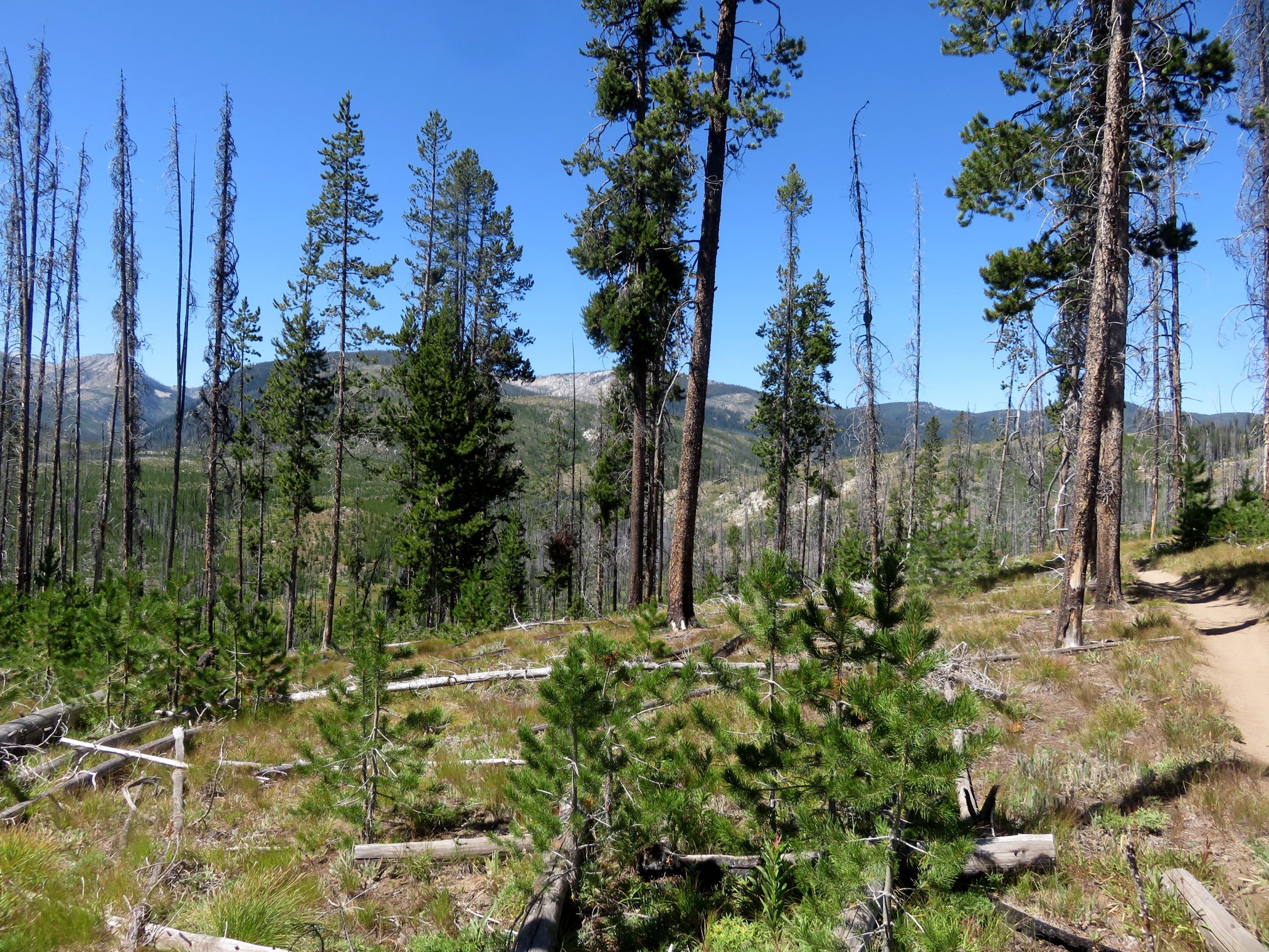 2020LoonLake-110.jpg