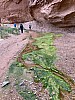 2021GreenRvr-044.jpg