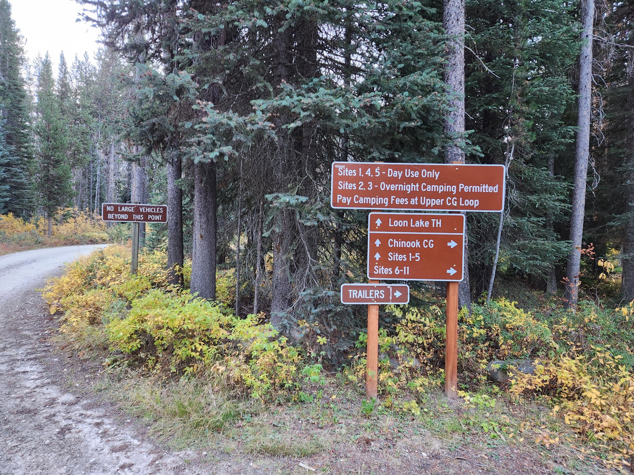 2022LoonLake-0020.jpg