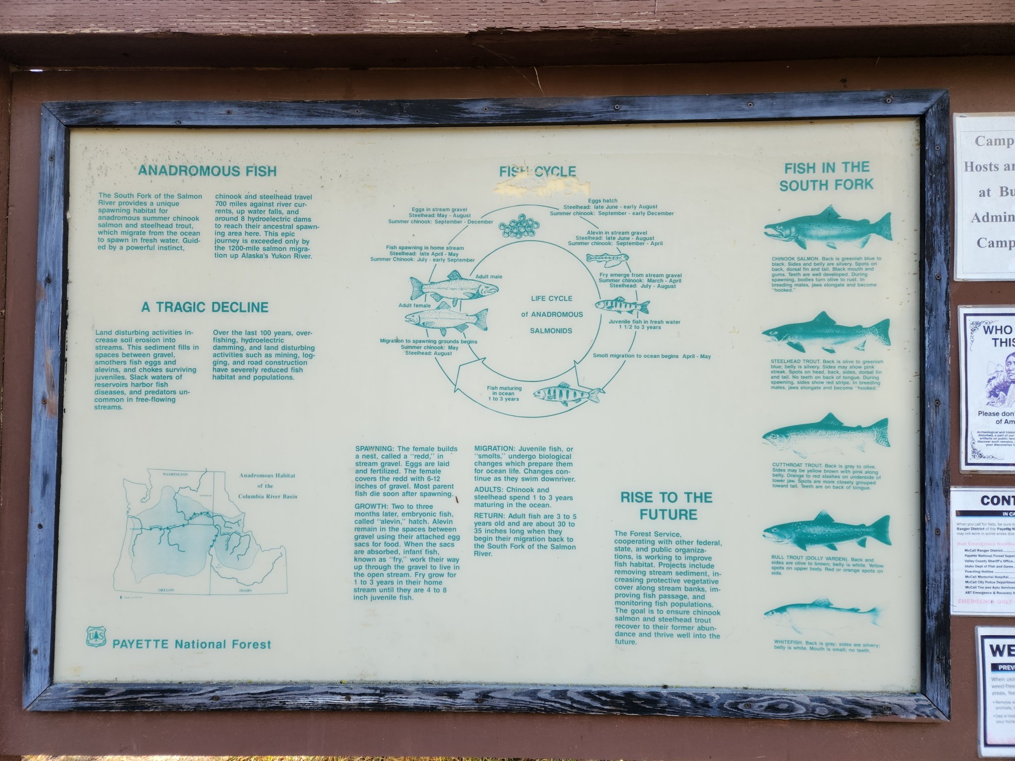 2022LoonLake-0110.jpg