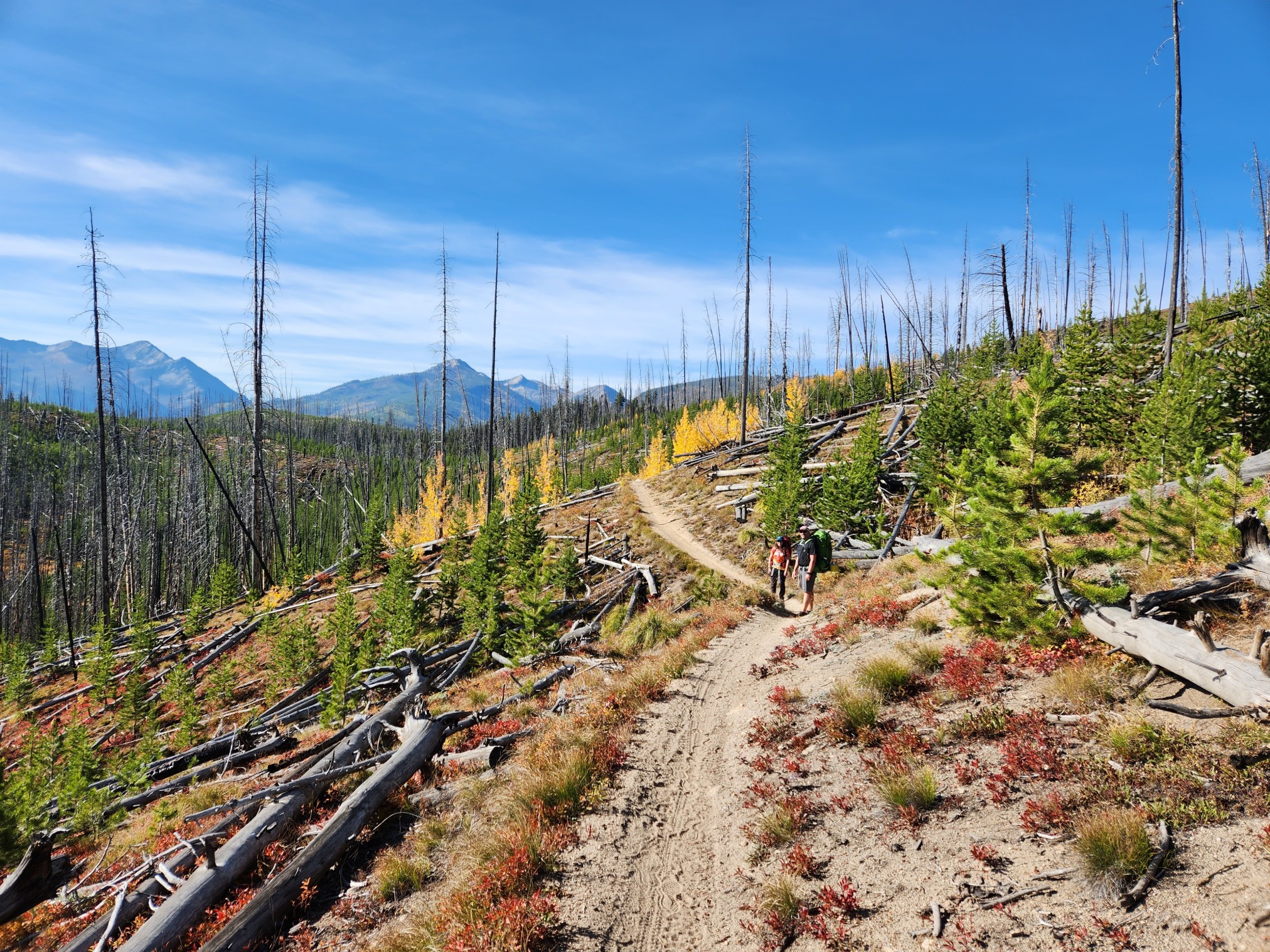 2022LoonLake-0180.jpg