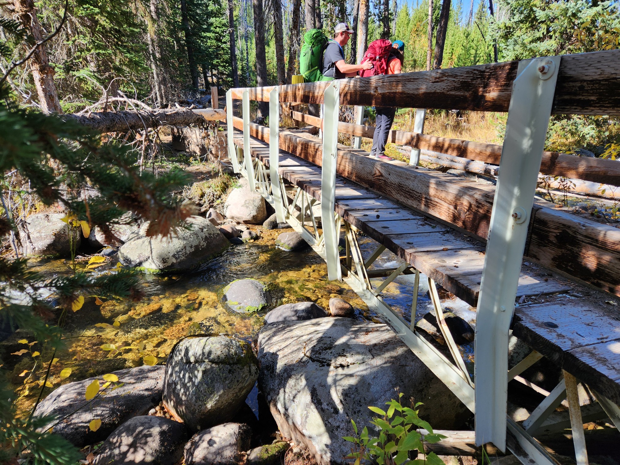 2022LoonLake-0290.jpg