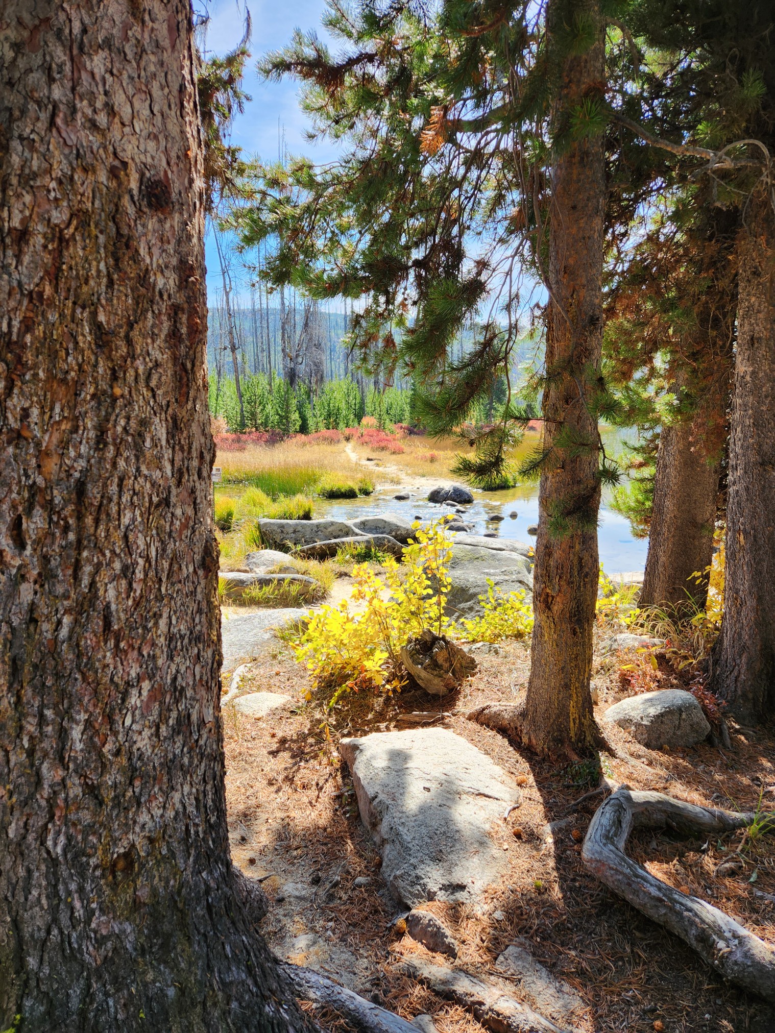 2022LoonLake-0480.jpg