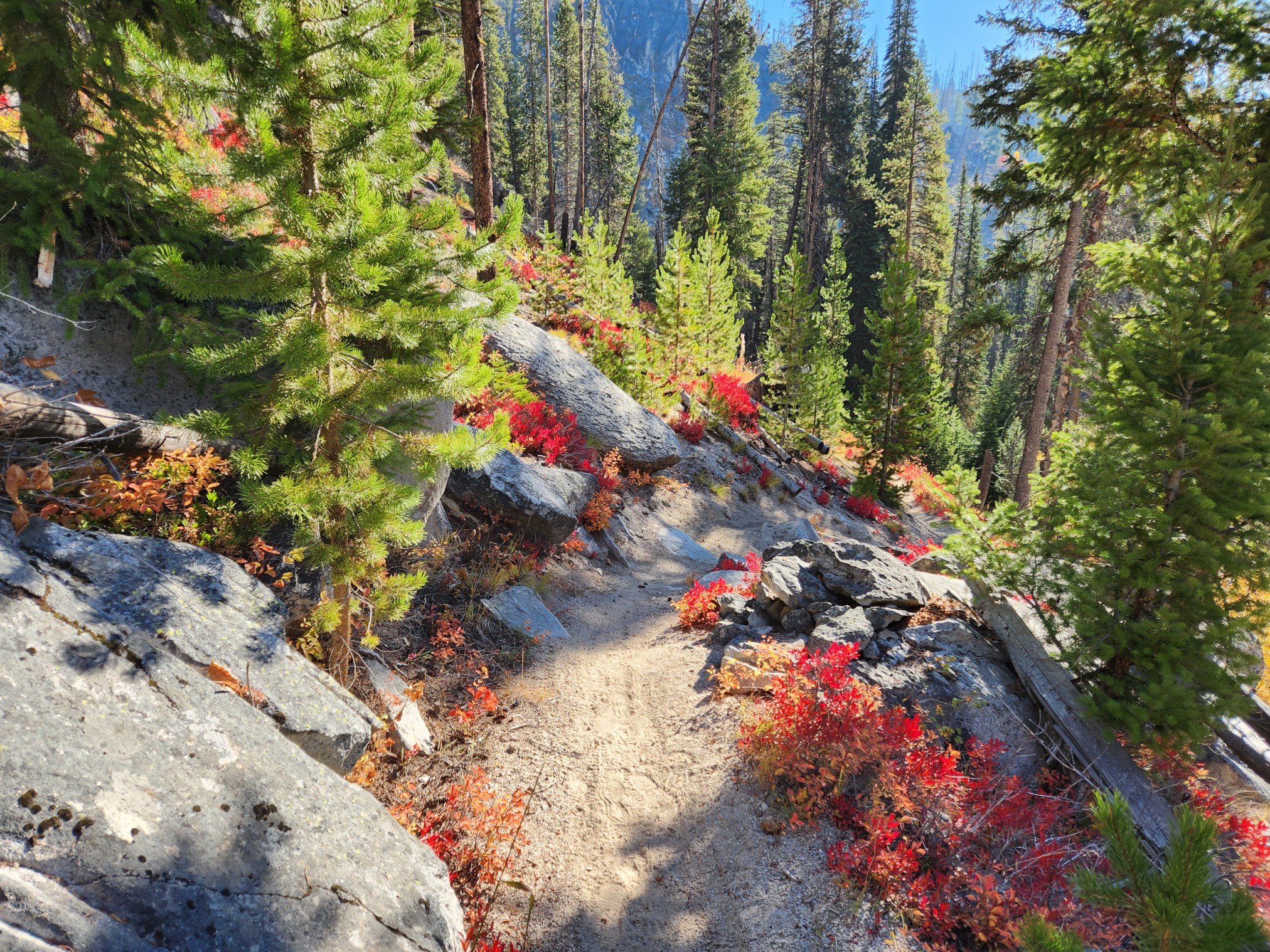 2022LoonLake-0890.jpg