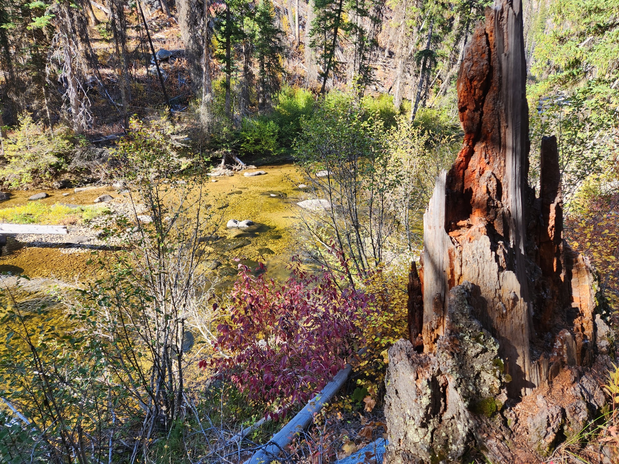 2022LoonLake-0980.jpg