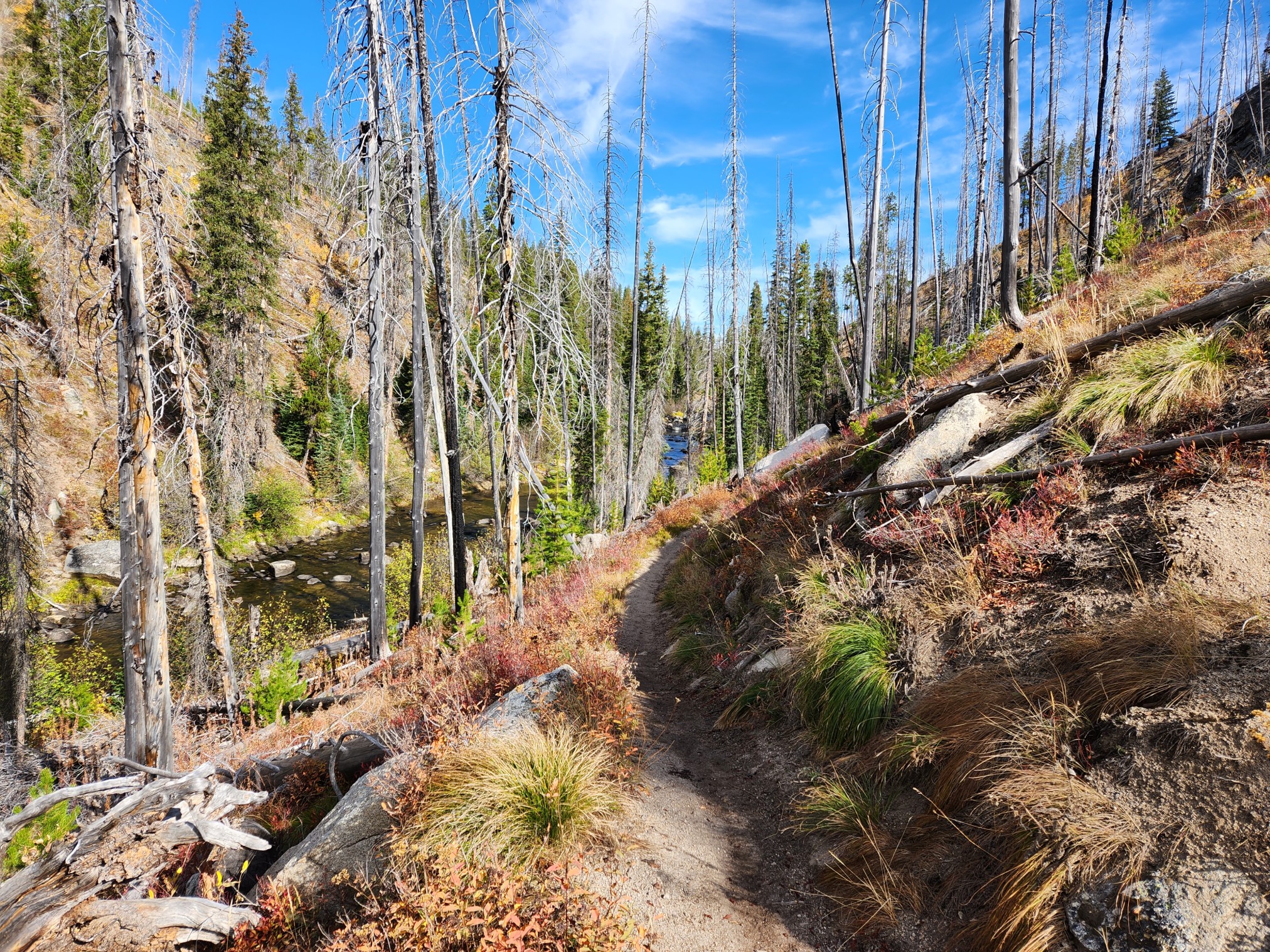 2022LoonLake-1030.jpg