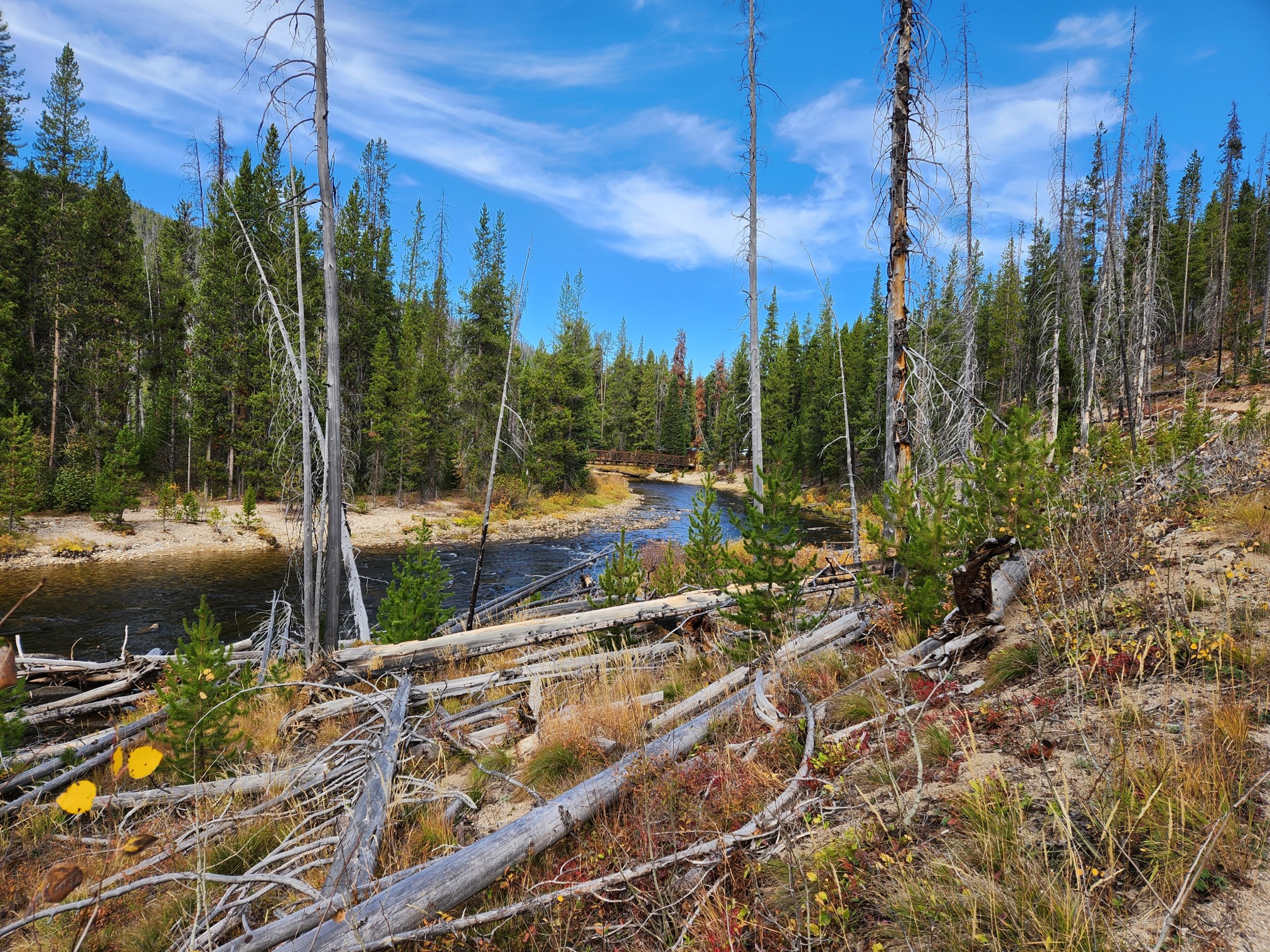 2022LoonLake-1100.jpg