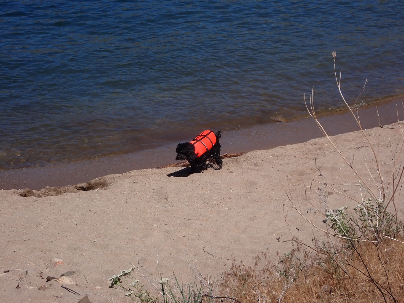 LuckyPeak-480.jpg